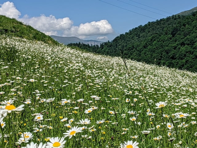 Visuals of Dilijan's adventures! From landscapes to exciting activities, experience the thrill in this destination.