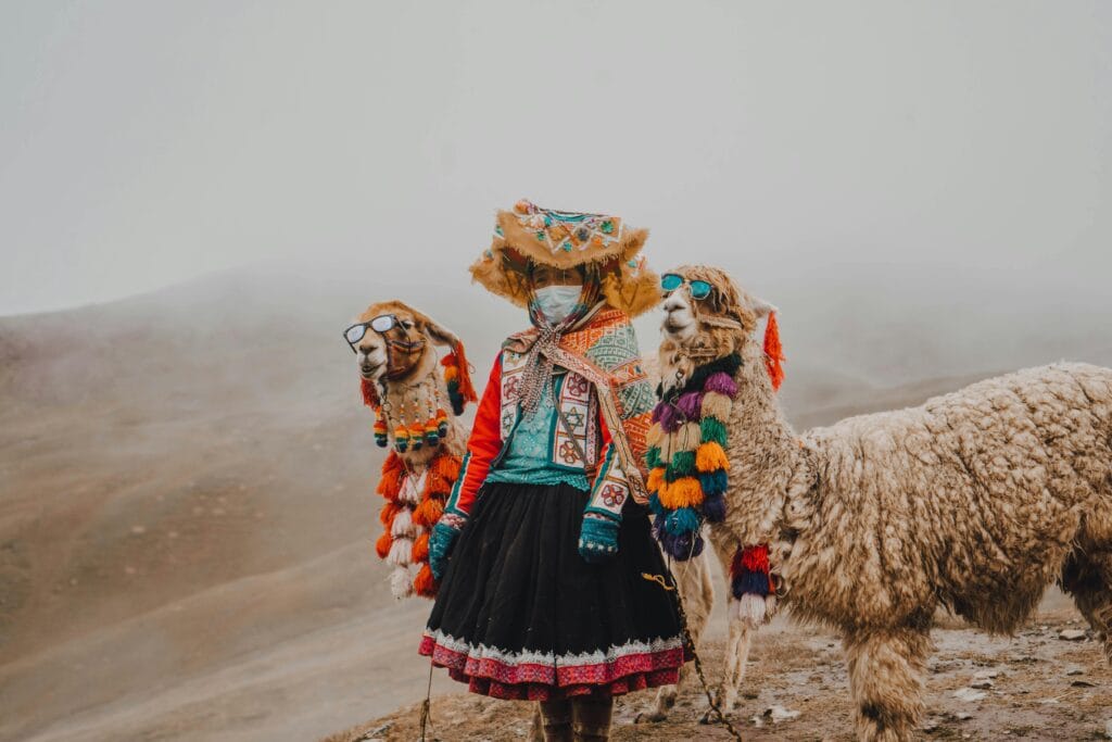 Woman in Traditional Clothing Standing on a Hill with Two Alpacas. Wool travel packing tips