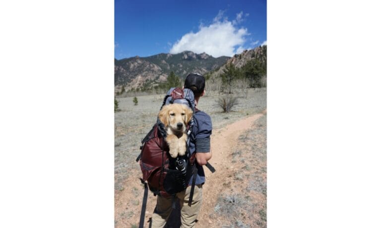 Man With Blue and Maroon Camping Bag