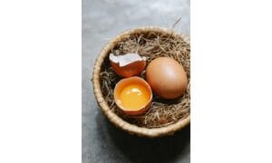 Cracked egg placed near whole on hay