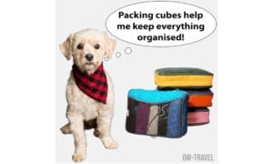 Packing Cubes