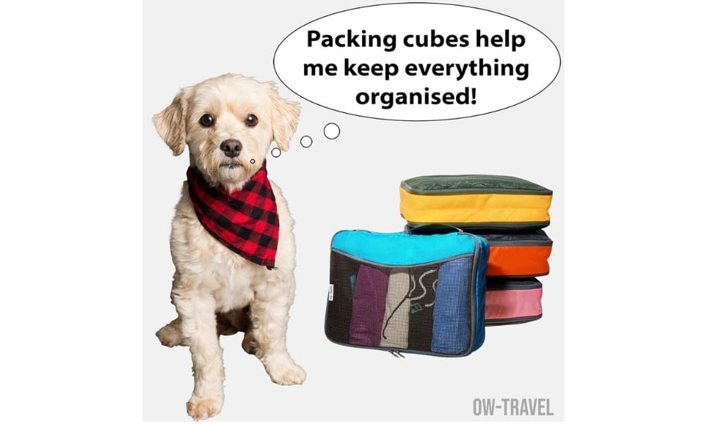 Packing Cubes