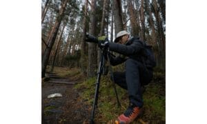 Photographer Crouching with Tripod in Forest