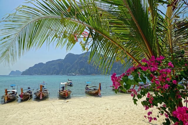 Traditional small boats on the beach with a palm tree and some flowers at the forefront in the Phi Phi Islands of Thailand.