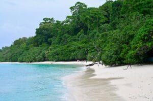 India: Top 10 Summer Activities to Enjoy