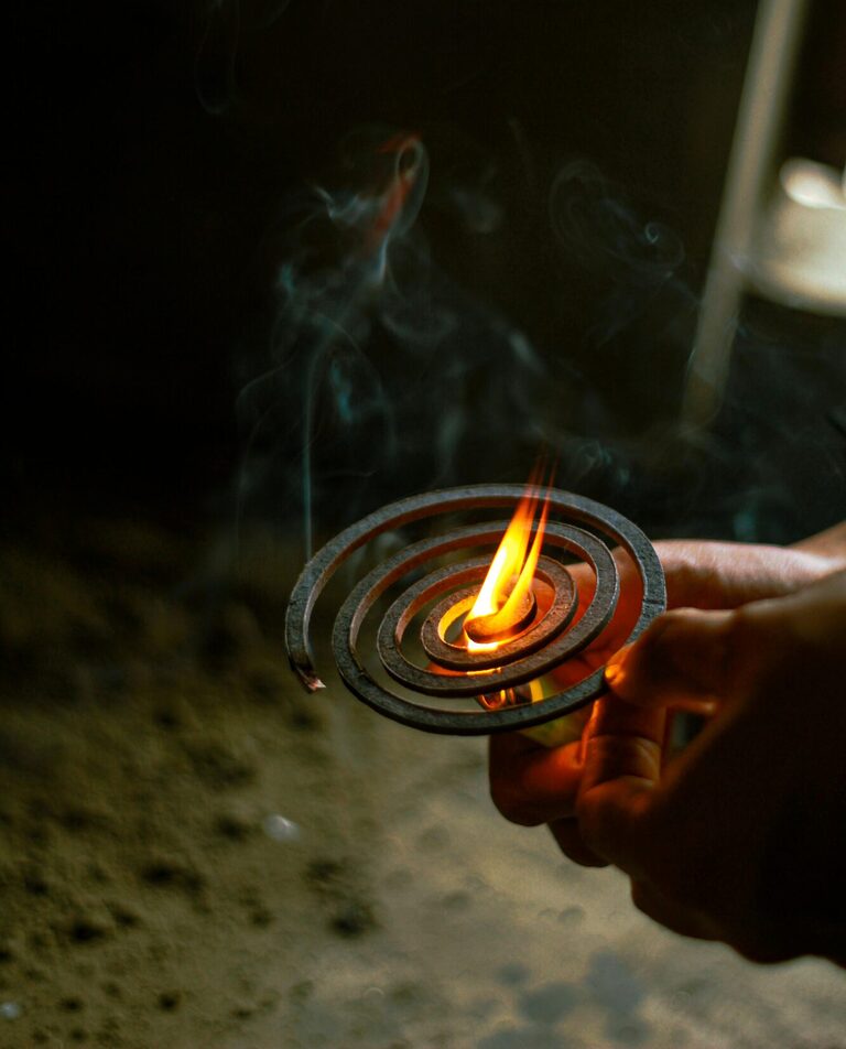 Buzz-Off: Traveller’s Guide to Avoiding Insect Bites