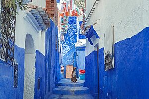 Chefchaouen: Top 10 Adventure Activities You Cannot Miss