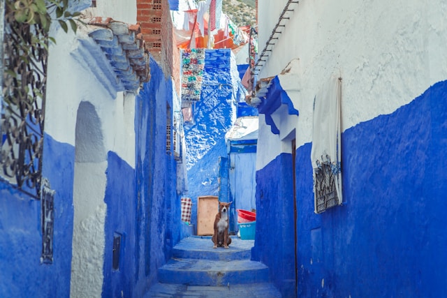 Chefchaouen: Top 10 Adventure Activities You Cannot Miss