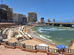 Alexandria: Top 10 Adventure Activities