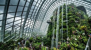 Singapore: Top 10 Rainy Season Activities