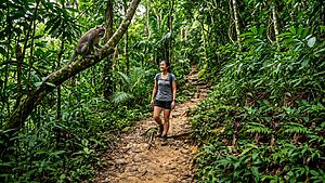 Bukit Timah Top 10 Adventure Activities