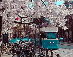 Gothenburg: Top 10 Adventure Activities