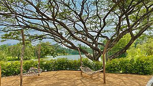 Jurong: Top 10 Adventure Activities