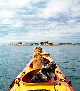 Sweden: Top 10 Summer Activities