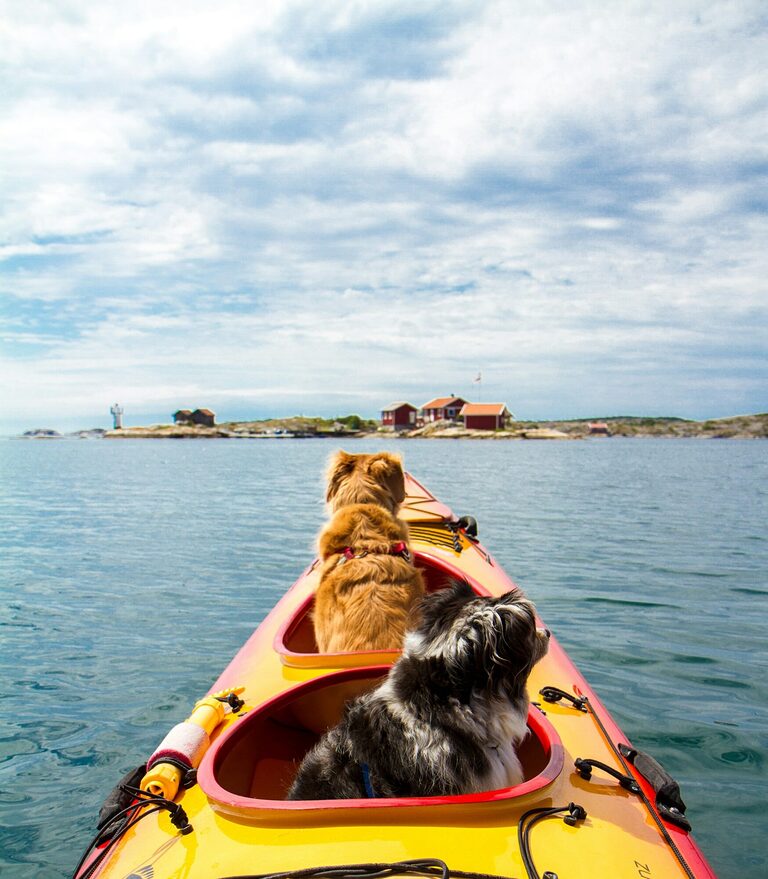 Sweden: Top 10 Summer Activities
