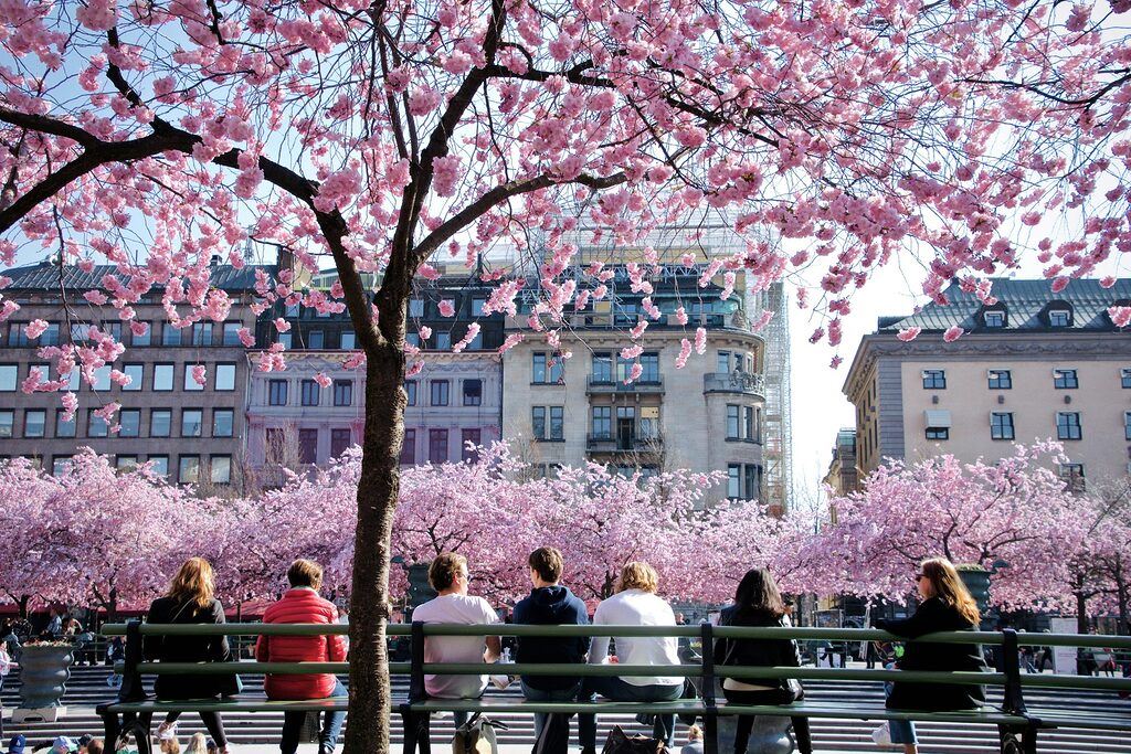 Sweden: Top 10 Things You Shouldn’t Do as a Tourist