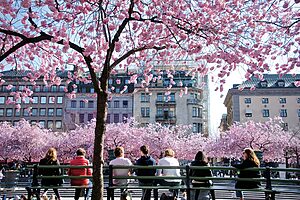 Sweden: Top 10 Things You Shouldn’t Do as a Tourist