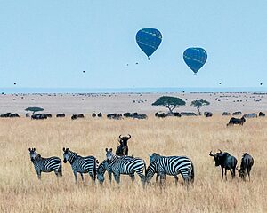 Early morning hot air ballooning over Kenya’s Maasai Mara.