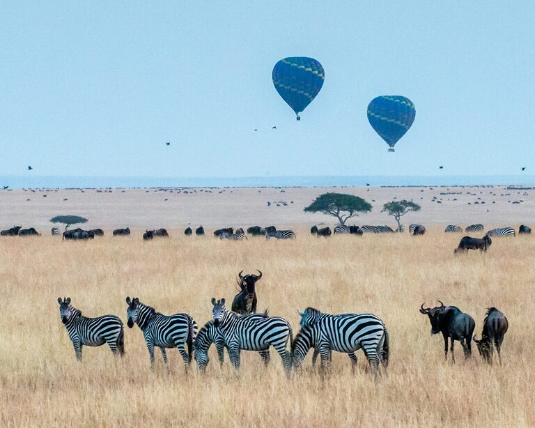 Early morning hot air ballooning over Kenya’s Maasai Mara.