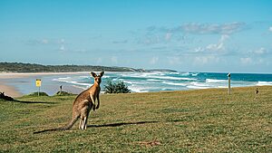 Australia Top 10 Summer Activities