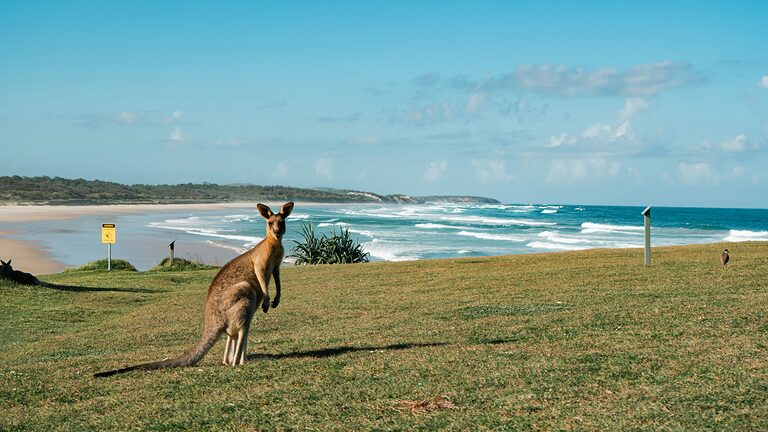 Australia Top 10 Summer Activities