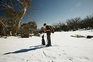 Australia: Top 10 Winter or Rainy Season Activities