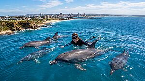Port Elizabeth (Gqeberha) Top 10 Adventure Activities