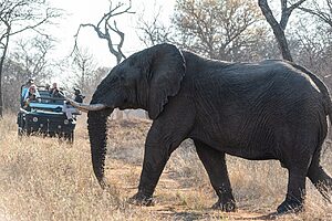 South Africa: Top 10 Useful Phrases for Travellers