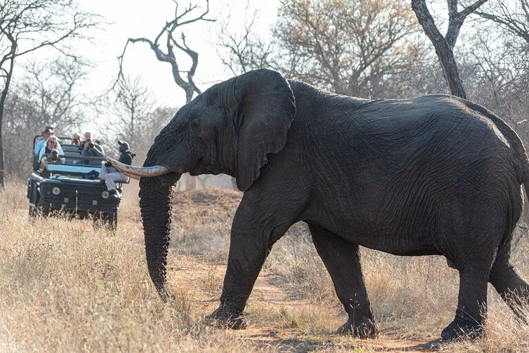 South Africa: Top 10 Useful Phrases for Travellers