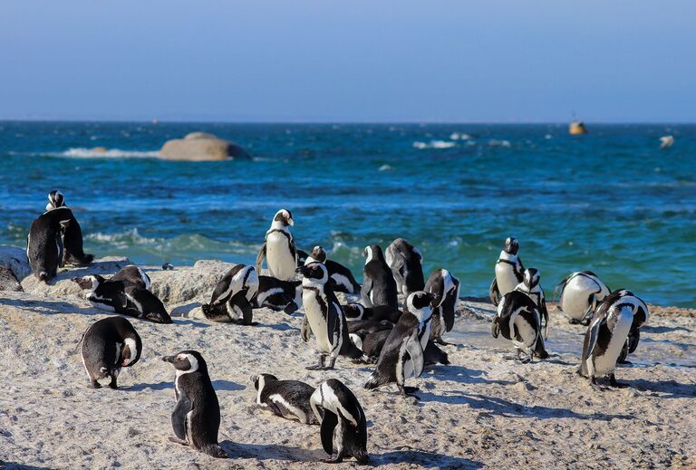 South Africa Top 10 Summer Activities