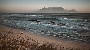 South Africa: Top 10 Winter & Rainy Season Activities