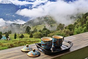 Mountain valley view showing slow travel in Northeast India