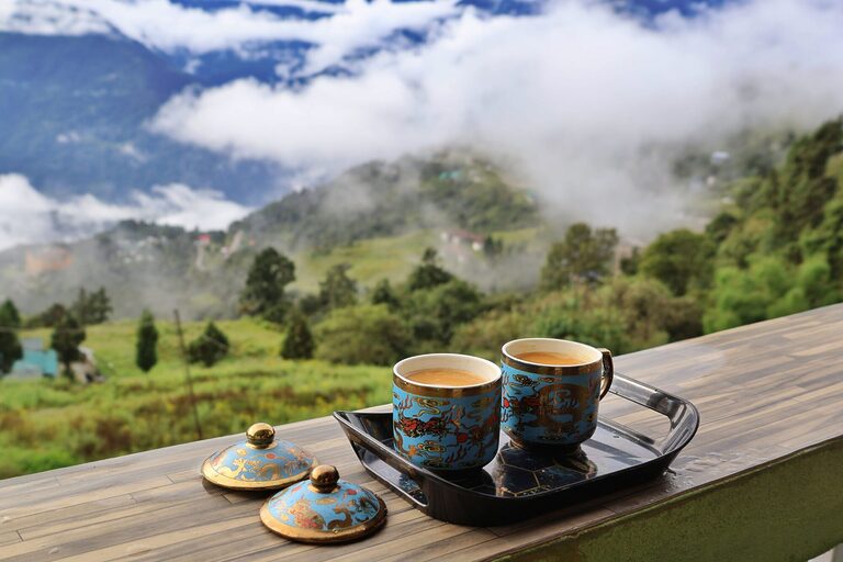 Mountain valley view showing slow travel in Northeast India