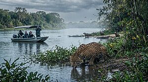 Brazil: Top 10 Winter And Rainy Season Activities