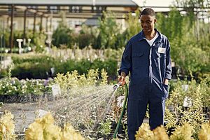 A young man watering plants in a garden