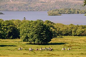 Killarney Top 10 Adventure Activities