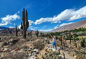 Salta: Top 10 Adventure Activities
