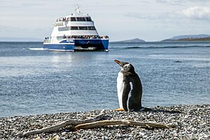 Ushuaia: Top 10 Adventure Activities