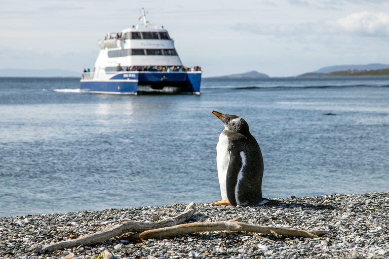Ushuaia: Top 10 Adventure Activities